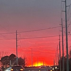 Meet your Posher, Talia